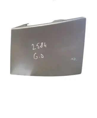 Rear/tail light trim molding
