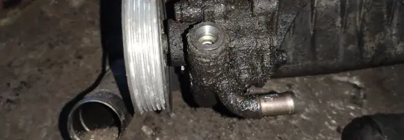 Seat Alhambra (Mk1) Power steering pump