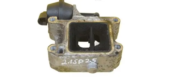 Volvo C30 Throttle body valve D5204T