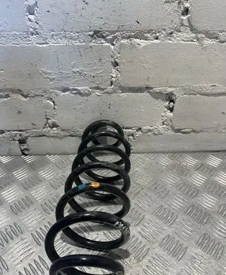 Volkswagen PASSAT CC Rear coil spring