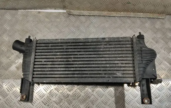 Nissan Navara D40 Intercooler radiator F6864 14461EB360