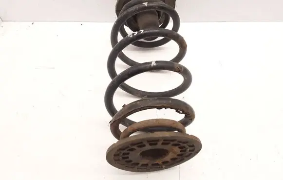 Opel Zafira B Rear coil spring 90538496