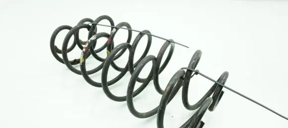 Citroen C4 Cactus Rear coil spring