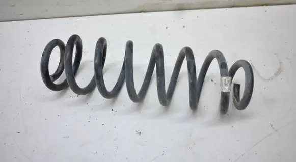 Rear coil spring