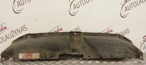 Engine bonnet/hood lock trim molding