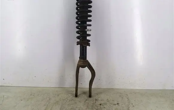 Honda Civic XI Front shock absorber with coil spring 
