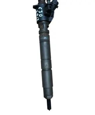 Volvo C30 Fuel injector 31303238 0445116016