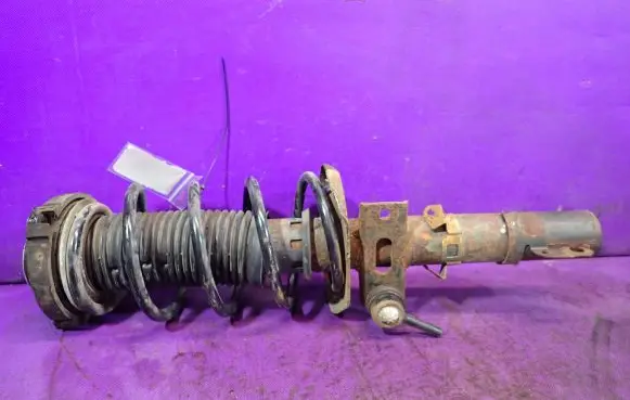 Skoda Fabia Mk1 (6Y) Front shock absorber with coil spring 6Q0413031BR