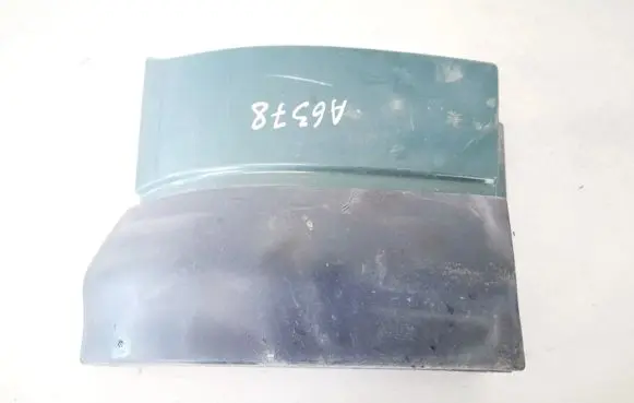 Rear/tail light trim molding