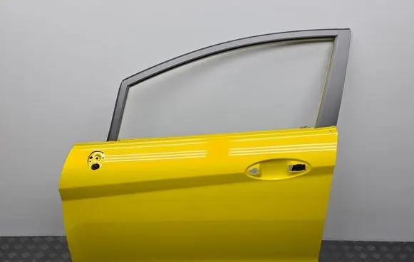 Ford Fiesta Front door