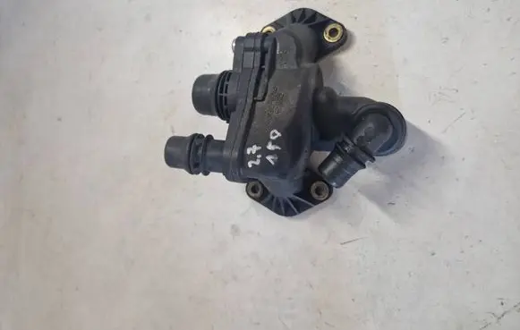 Thermostat/thermostat housing