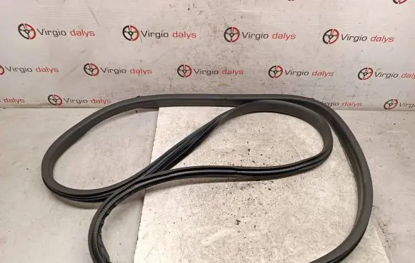 Renault Captur Rubber seal front door (on door) 