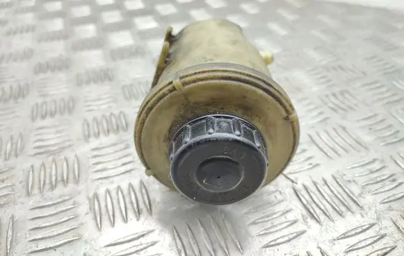 Renault Laguna III Power steering fluid tank/reservoir 491150002R
