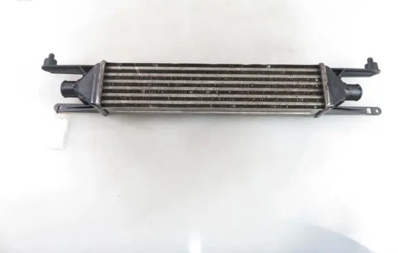 Fiat Punto (199) Intercooler radiator 866450200