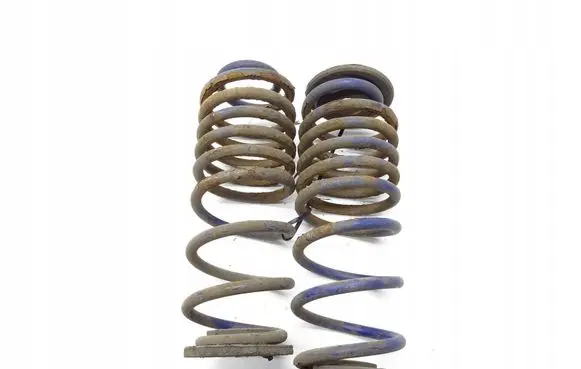 Rear coil spring