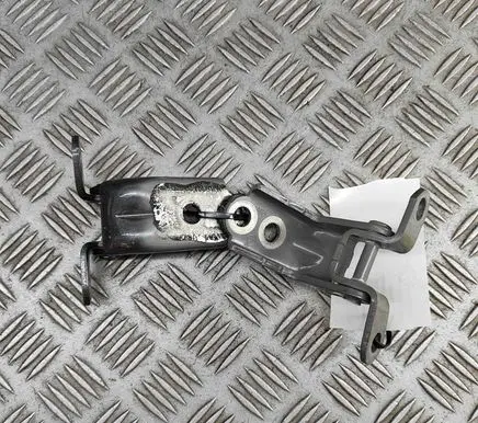 Nissan Qashqai J12 Front door hinges set 804206UA1A