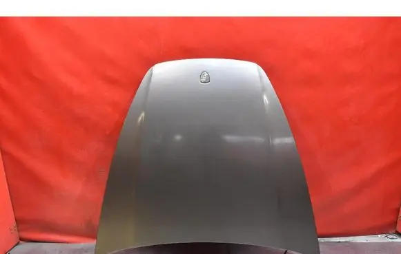 Porsche Cayenne (9PA) Engine bonnet/hood 