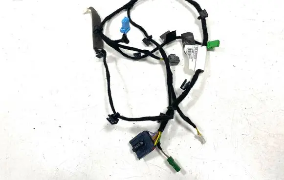 Rear door wiring loom