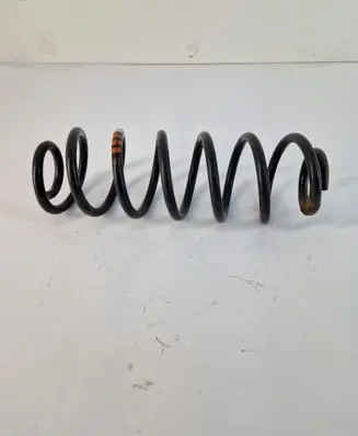 Rear coil spring