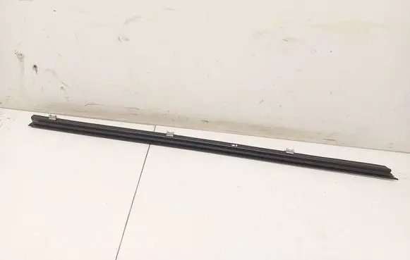 BMW X6 E71 Front door glass trim molding 