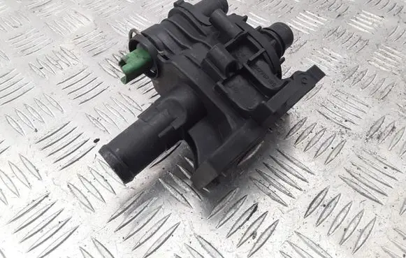 Thermostat/thermostat housing