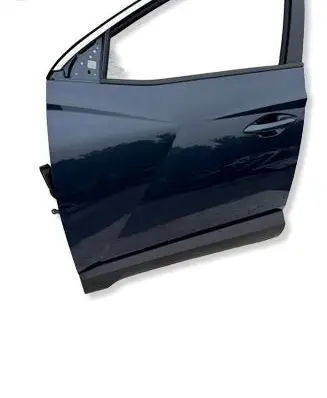 Hyundai Tucson IV NX4 Front door 