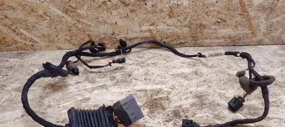 Bentley Flying Spur Front door wiring loom 3W5971120B