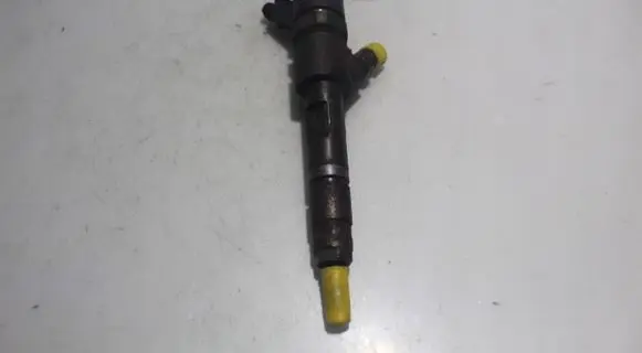 Renault Scenic II - Grand scenic II Fuel injector 0445110230