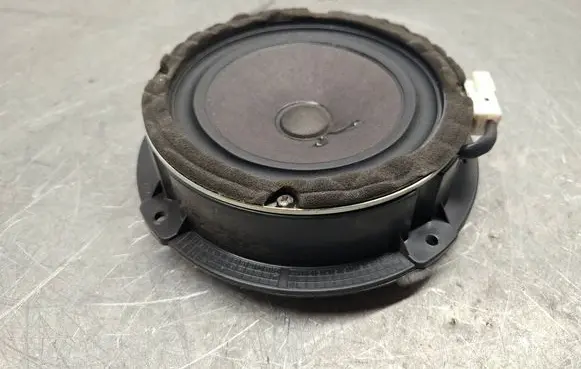 Hyundai Santa Fe Rear door speaker 963002B000