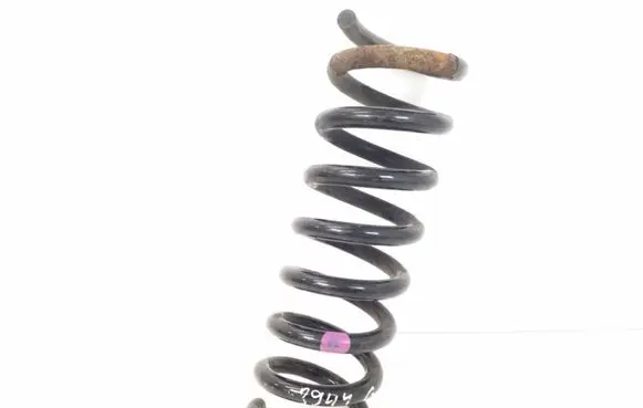 Mercedes-Benz CLS C218 X218 Rear coil spring A2043240304