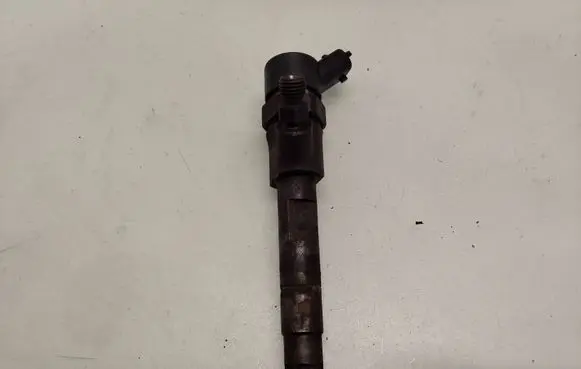 Renault Scenic II - Grand scenic II Fuel injector 0445110021