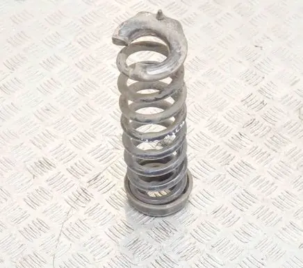 Rear shock absorber/damper