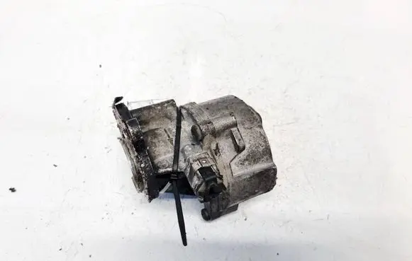 Suzuki Grand Vitara II Vacuum pump d163451323