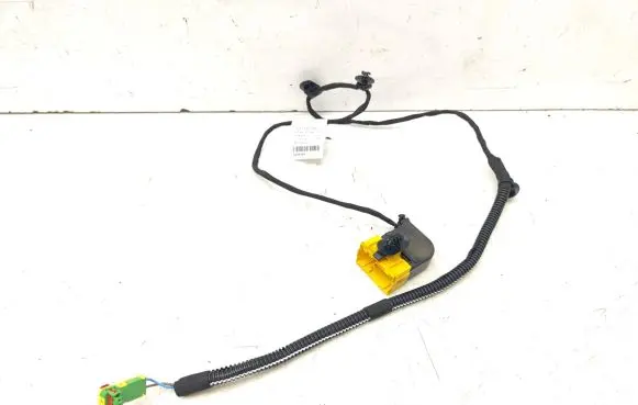 Renault Laguna III Other wiring loom 4433347