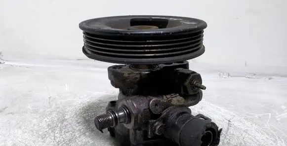KIA Carnival Power steering pump