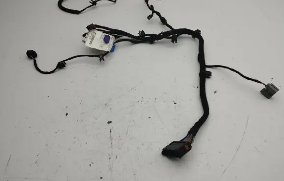 Front door wiring loom