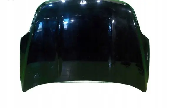 Ford Kuga I Engine bonnet/hood 16AB59 BC115B73D2C14C4BB2
