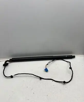 Tailgate strut