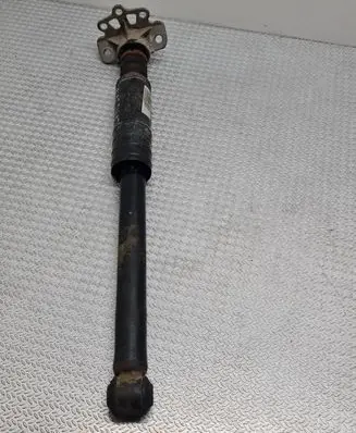 Fiat Punto (199) Rear shock absorber/damper 55700452 1009