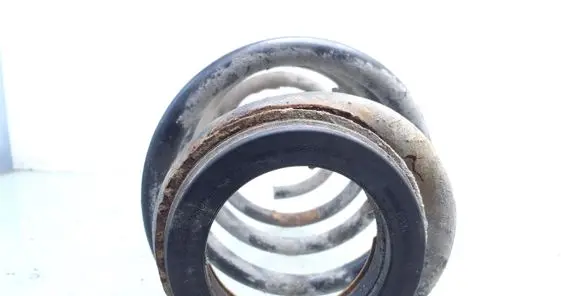 Front coil spring