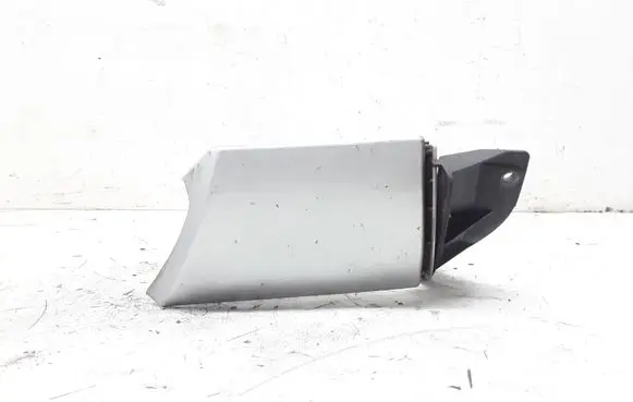 Rear/tail light trim molding