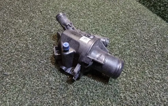 Thermostat/thermostat housing
