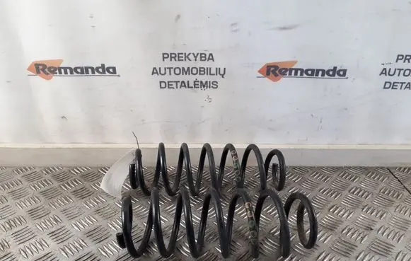 Rear coil spring