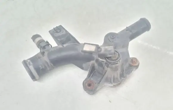 Thermostat/thermostat housing