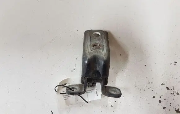 Jaguar S-Type Front door lower hinge