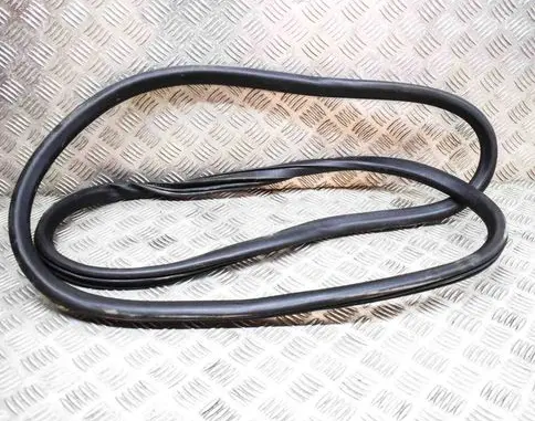 Ford Mustang Mach-E Rubber seal rear door LJ8BR253A10HH