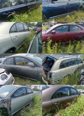 Toyota Avensis T250 Front door 
