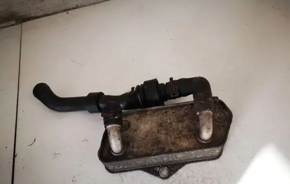 Skoda Superb B6 (3T) Engine oil radiator 02e409061b