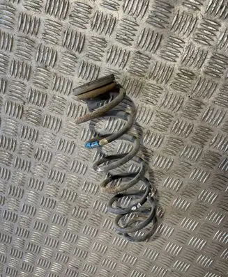 Rear coil spring
