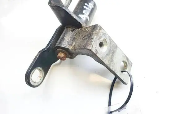 Rear door lower hinge